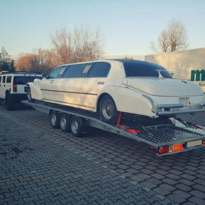 Transport King Bild 009